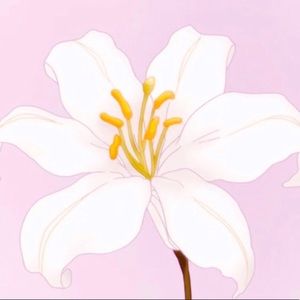 Meet your Posher, El ♡